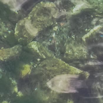 Beltur Plajında Beklenmedik Sorunlar Ve Hayal Kırıklığı