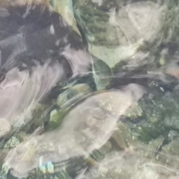 Beltur Plajında Beklenmedik Sorunlar Ve Hayal Kırıklığı