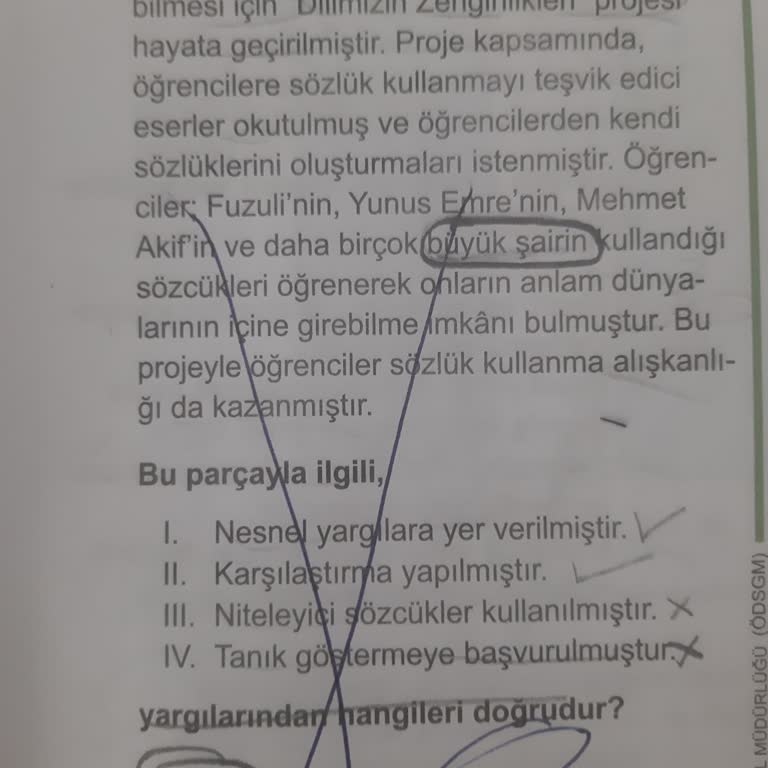 Milli Eğitim Bakanlığı (MEB) LGS Soru Kontrolü