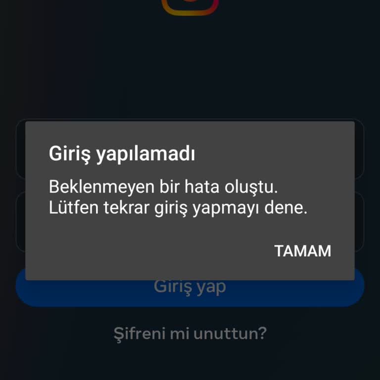 Instagram Hesabımı Geri İstiyorum!