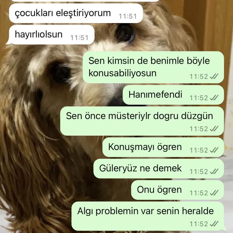 Grosshan Kırtasiye Kırtasiyede Saygısız Ve Profesyonellikten Uzak Hizmet