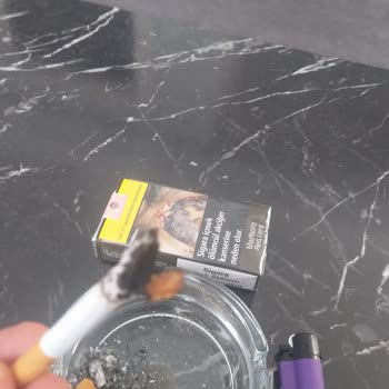 Philip Morris Sigara İçinden Odun Parçaları Çıkıyor