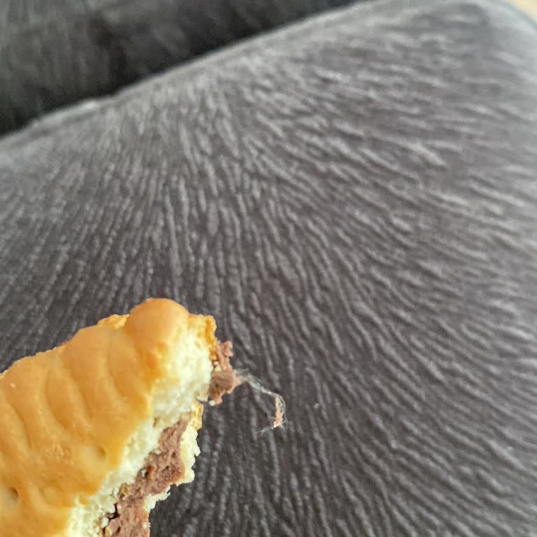 Eti Gıda Pötibör Bisküviden Yabancı Madde Çıktı