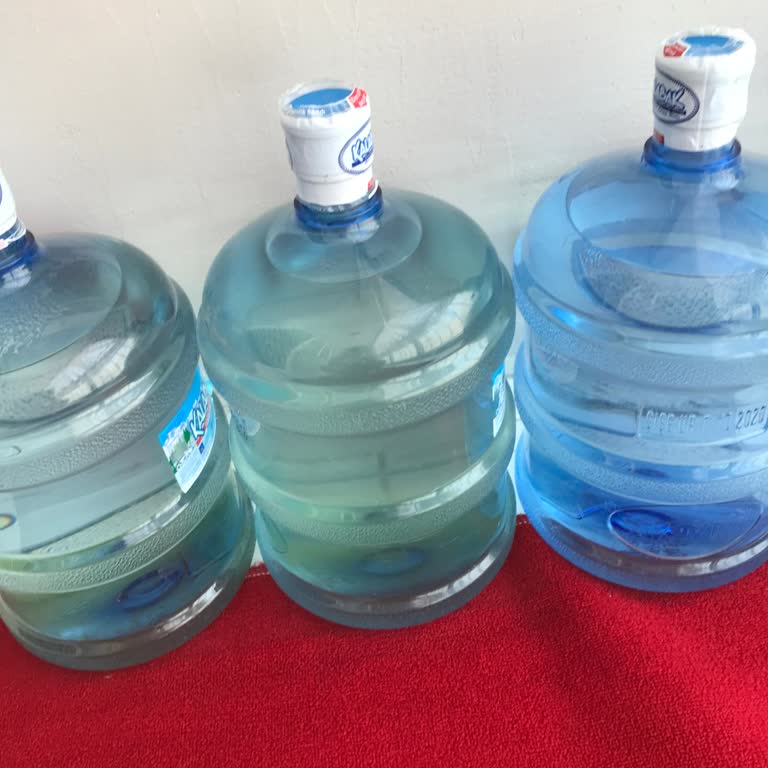 Kalabak Su Yeşil Renkte