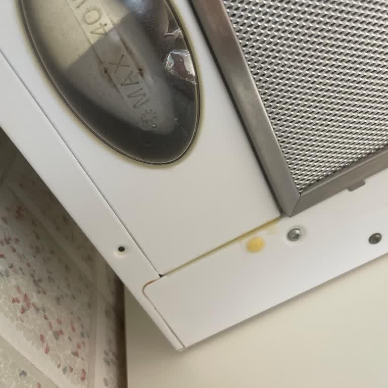 Evde Temizlik Var Evi Daha Da Kirleten Personel Gönderdi