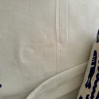 Navy Otel Ölü Hayvan Dolu