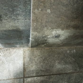 Tatilbudur Marmaris'teki Otel Deneyimi Ve Sorunlar