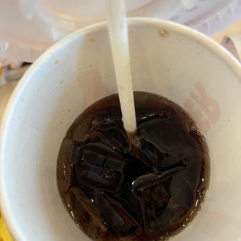 Burger King Oksijen Aşağıçobanisa, Mahallesi,