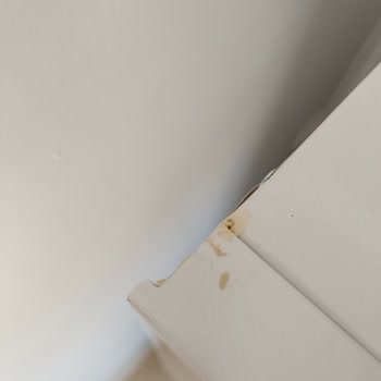 Bosch Kusurlu Ürünü Sahiplenmiyor