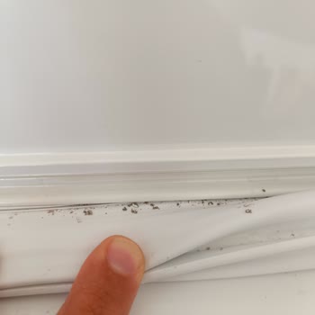 Bosch Kusurlu Ürünü Sahiplenmiyor