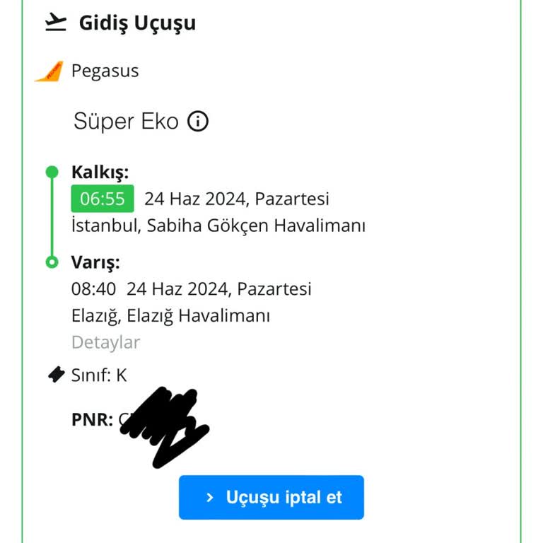 Pegasus Kendi Kendine Ve Habersiz Şekilde Biletimi İptal Etti