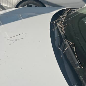 Ottopark Kuş Pislikli Otopark