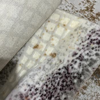 Bursa Buket Halı & Koltuk Yıkama Halıları Yıkamadan Geri Getirdiler!