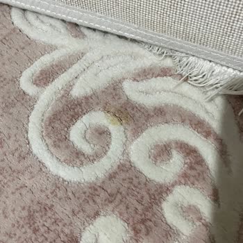 Bursa Buket Halı & Koltuk Yıkama Halıları Yıkamadan Geri Getirdiler!