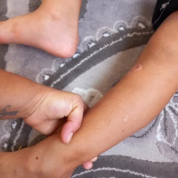 Tarsus Belediyesi A*** Ç** Tarsus Belediyesine