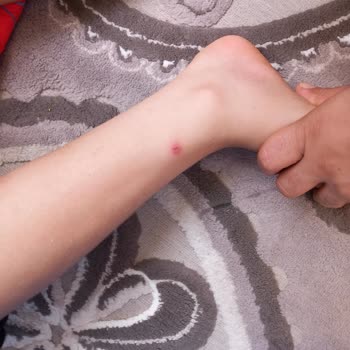 Tarsus Belediyesi A*** Ç** Tarsus Belediyesine