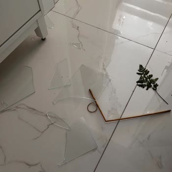 Cocodema.com Plants'tan Aldığım Çiçek Çerçevesi Hayal Kırıklığı Yarattı!