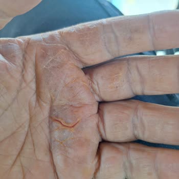 Sürat Kargo Ürün Kalitesi Ve Müşteri Hizmetleri Sorunu