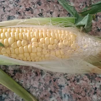 Getir Eksik Ve Kusurlu Ürünler