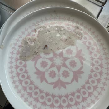 Samsung DW60M5044FS Bulaşık Makinesi