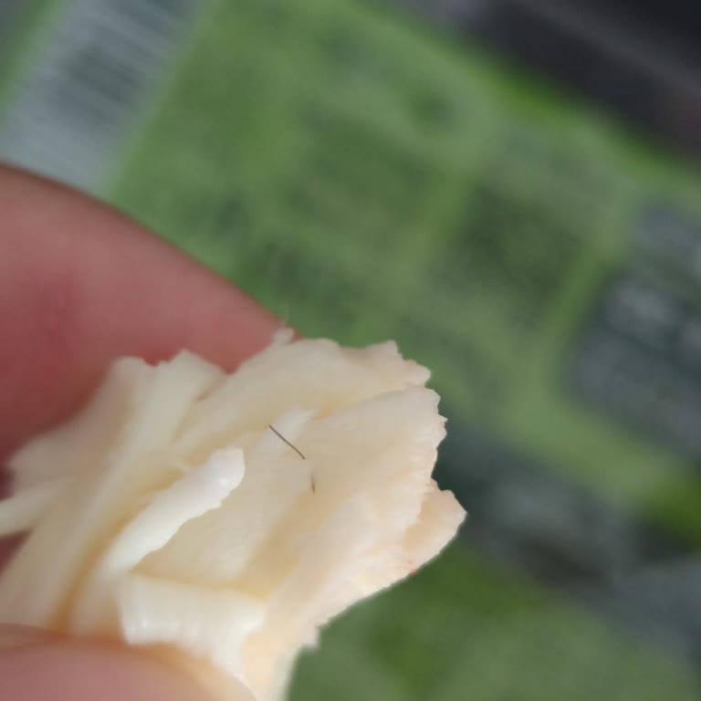 Muratbey Peynirde Kıl Çıktı