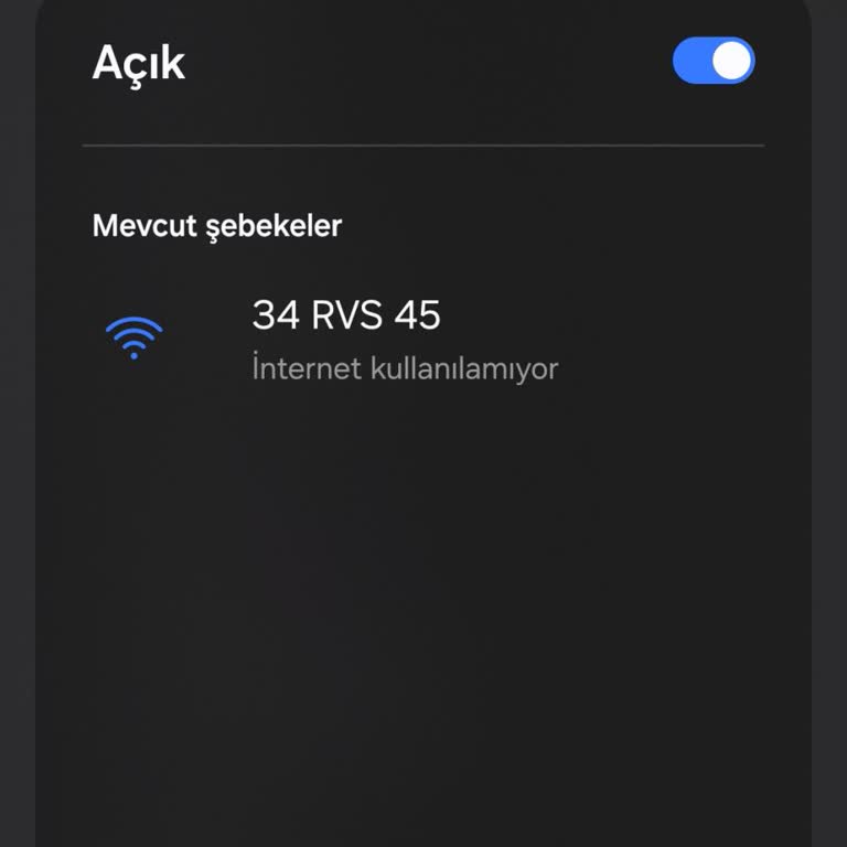 Pamukkale Turizm Araçlarında İnternet Yok / Problemi