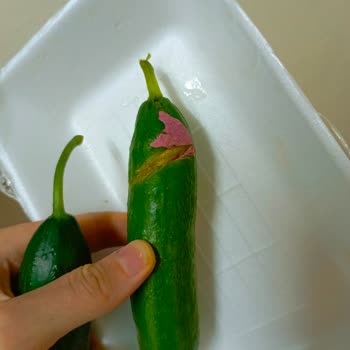 Migros'ta Satılan Meyve Sebzelerin Çürük Çıkması