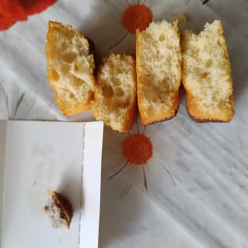 Ozmo Keklerin Jölesi Yok