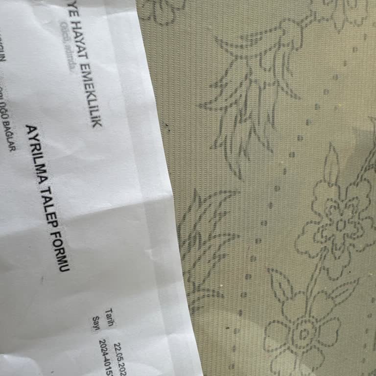 Türkiye Hayat Emeklilik İlgisizlik, Paramıza Ambargo Uygulama