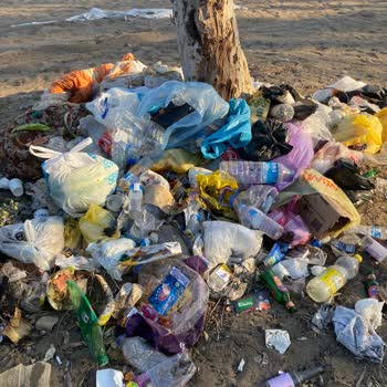 Mersin Büyükşehir Belediyesi Mersin Plaj Kirliliği