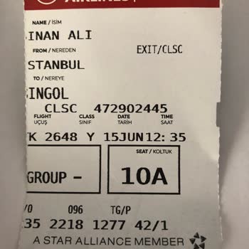 Türk Hava Yolları Kayıp Bağaj Fiyaskosu