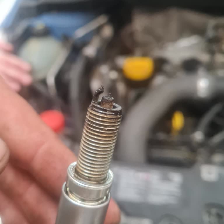 Renault Yetkili Servis Hatası