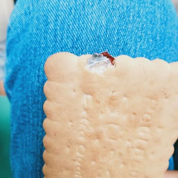 BİM Süsse Petit Beurre Bisküvisinin İçinde Yabancı Madde