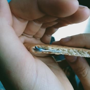 BİM Süsse Petit Beurre Bisküvisinin İçinde Yabancı Madde