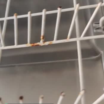 Arçelik Bulaşık Makine Sepeti Paslanma Sorunu