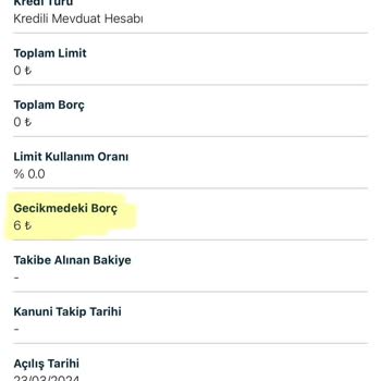 Yapı Kredi Ne Olduğu Belirsiz Kuruş Halinde Borç Keserek Mağdur Etti!