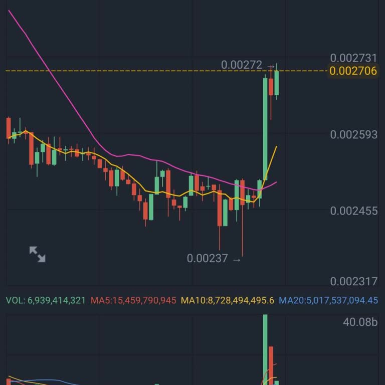 BTC Turk'te LUNC Coin Mağduriyeti Ve Güven Sorunu
