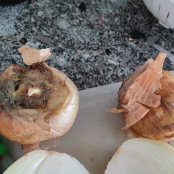 Yemeksepeti Hatalı Ve Çürük Mal