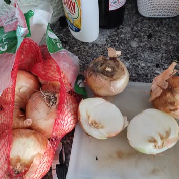 Yemeksepeti Hatalı Ve Çürük Mal