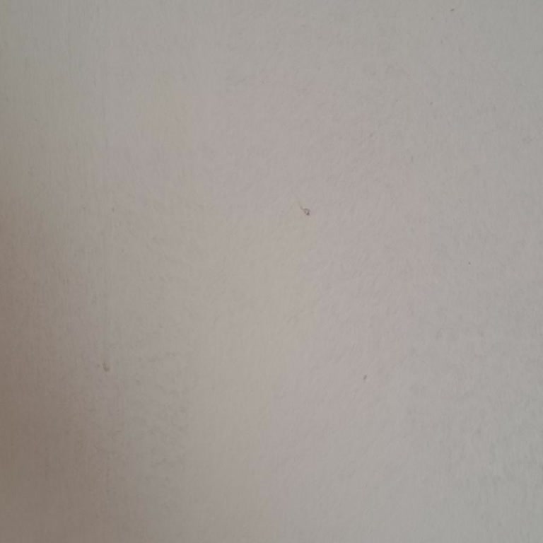 İGA İstanbul Havalimanı Valiz Taşıma Arabası