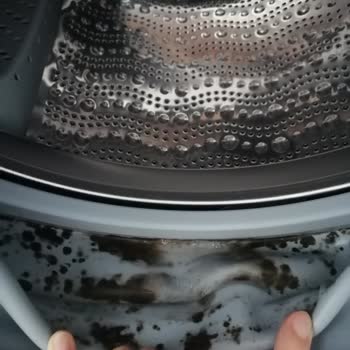 Bosch Çamaşır Makinesi İç Lastiklerinin Kısa Sürede Küf Yapması