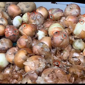 Migros Meyve Sebzelerin Üzerinde Sinekler Var