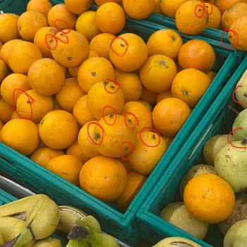 Migros Meyve Sebzelerin Üzerinde Sinekler Var
