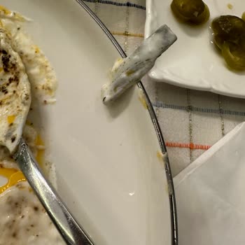 Embi Gıda Mantıdan Çıkan Karton Parçaları