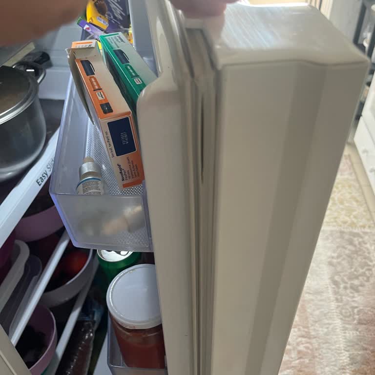 Samsung Buzdolabı Kapı Lastiği