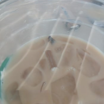 Starbucks Kahvemden Resmen Sinek Çıktı