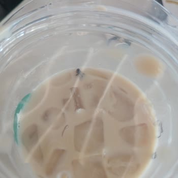 Starbucks Kahvemden Resmen Sinek Çıktı