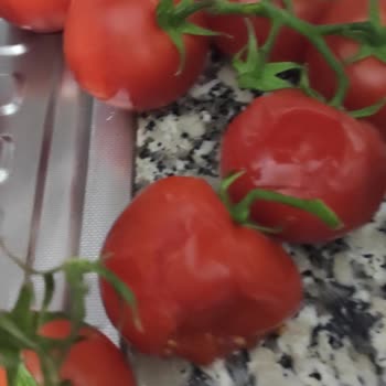 Migros Sanal Market Alışverişinde Bozuk Ürünler Gönderiyor!