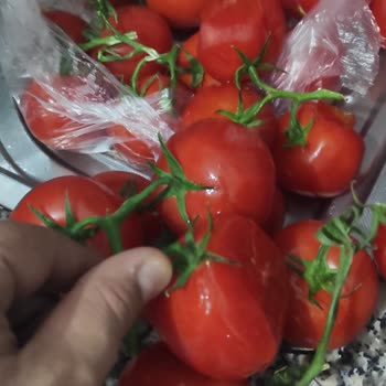 Migros Sanal Market Alışverişinde Bozuk Ürünler Gönderiyor!