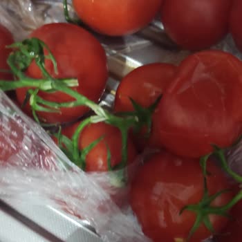 Migros Sanal Market Alışverişinde Bozuk Ürünler Gönderiyor!